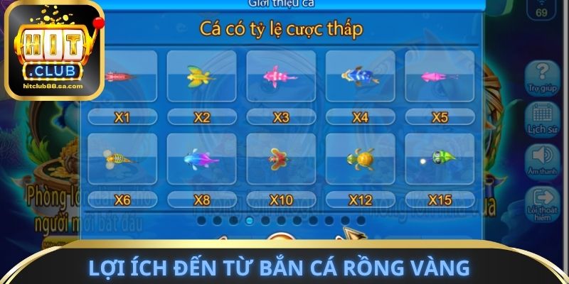Lợi ích đến từ bắn cá rồng vàng