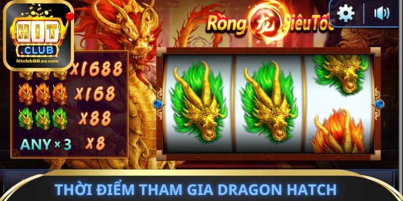 Thời điểm tham gia trò chơi Dragon Hatch tối ưu