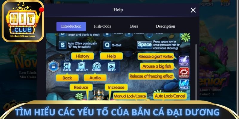 Tìm hiểu các yếu tố của bắn cá đại dương